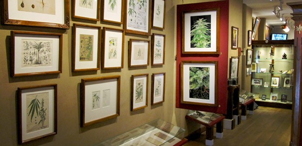 Leer alles over hennep in het Hash, Marihuana & Hemp Museum